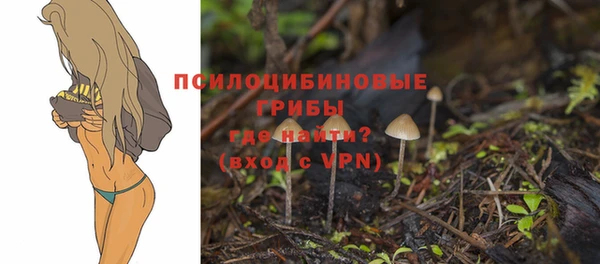 герыч Абаза