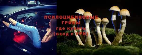 прущая мука Абдулино