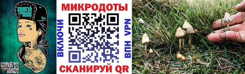 Галлюциногенные грибы Psilocybine cubensis как найти закладки Дербент